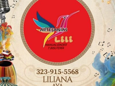 ARTESANIAS LILI