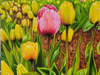 Clara Ines Arte y Estilo