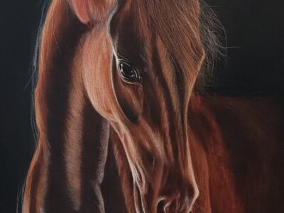 Clara Ines Arte y Estilo