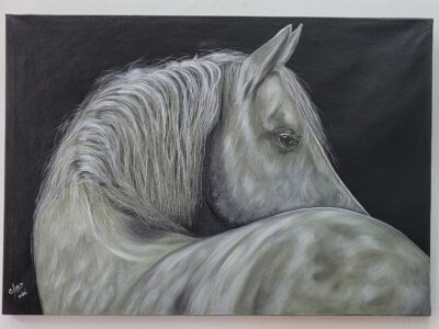 Clara Ines Arte y Estilo