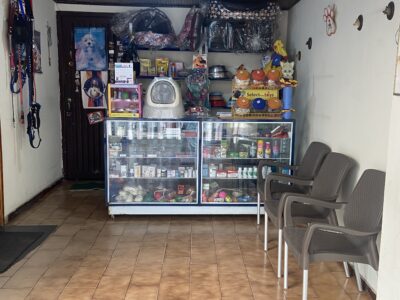 Veterinaria Homeopática El Arte de Curar