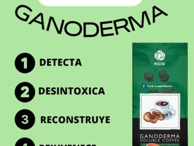 HGW - Turmalina y Arándanos - YESICA